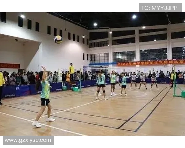 洲际杯赛场上广州排球队的技术表现与战术分析探讨