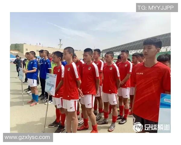 南京足球队在精英赛中的战术表现分析与总结